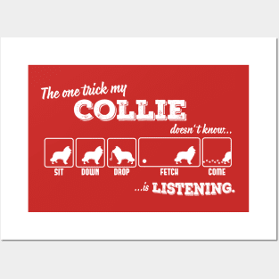 Collie Posters and Art